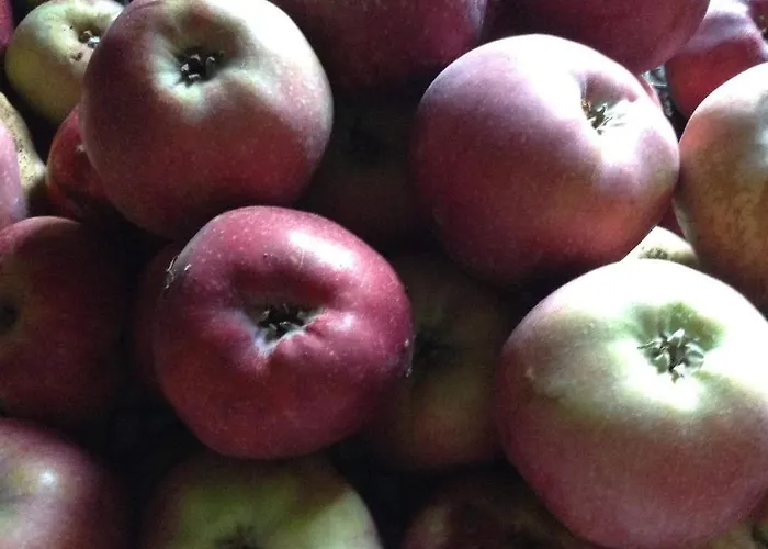 Chouchou Apartament *