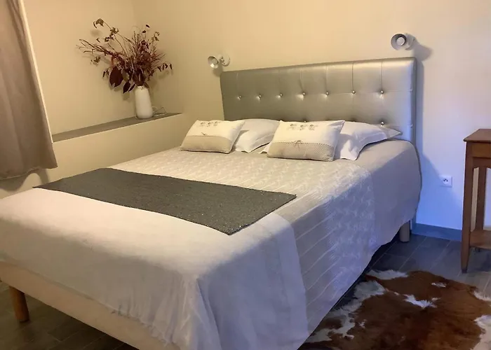 Chouchou Apartamento Izé